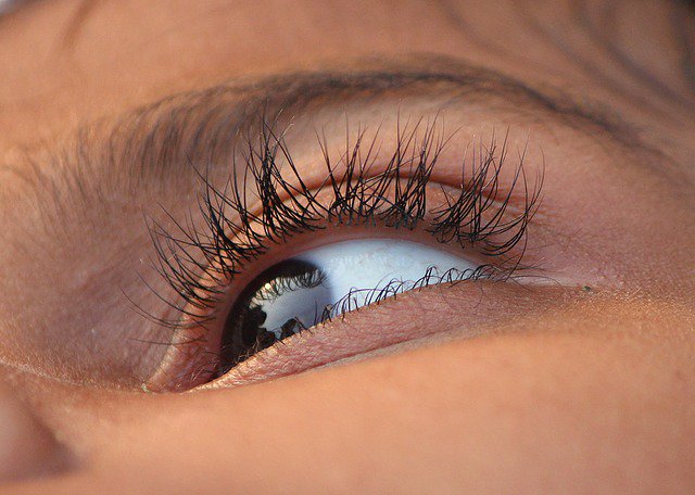 Японские офтальмологи сообщили о частичном восстановлении зрения при помощи клеток кожи