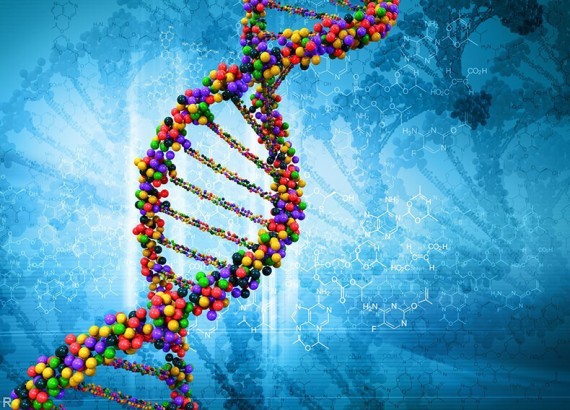Ученые смогут восстановить приметы лица человека по ДНК