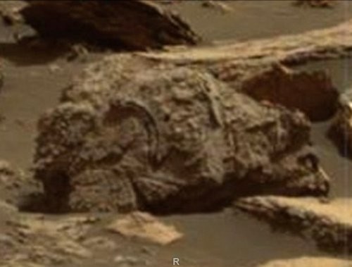 На снимках Марса уфологи увидели окаменелые останки медведя