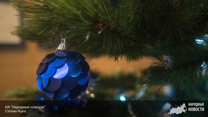 Главную новогоднюю елку страны срубят в Истринском лесничестве 15 декабря