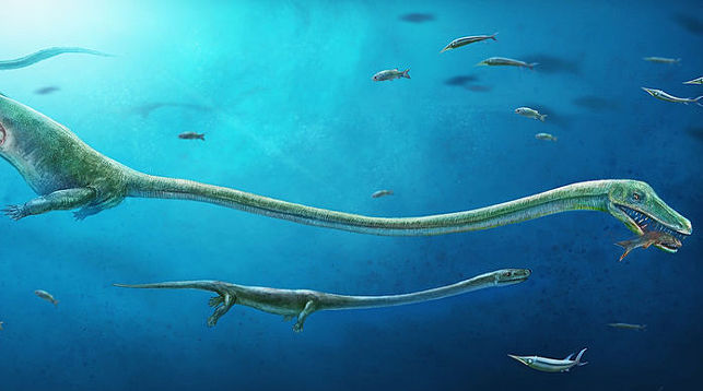 В Китайская республика обнаружили окаменелые останки беременного предка динозавра