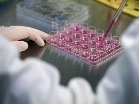 Японские учёные работают над созданием метода лечения лейкемии стволовыми клетками