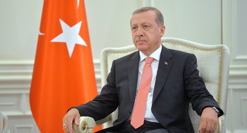 Эрдоган раскрыл тему предстоящей встречи с Путиным