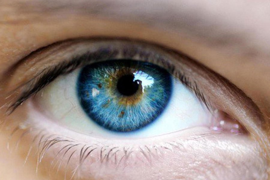 Ученые: Талант человека можно определить по цвету глаз