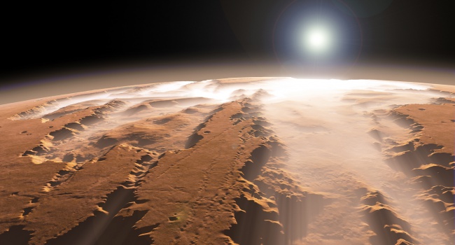 Уфолог: на Марсе найден череп йети