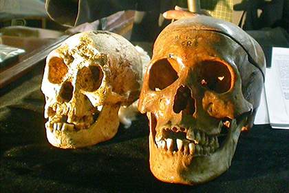 Древнейшие люди могли стать предпосылкой вымирания вида «хоббитов» — Ученые