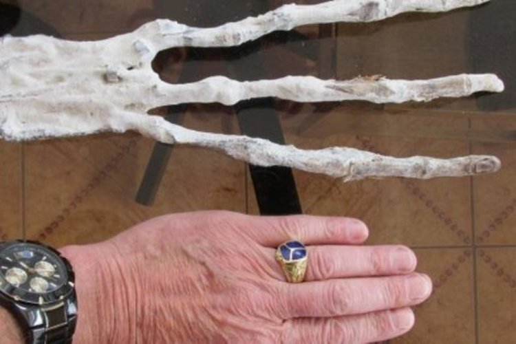 Ученые нашли в Перу руку загадочного существа с необычным металлом в ногте