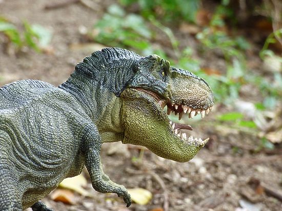 Некоторые динозавры имели «молочные» зубы