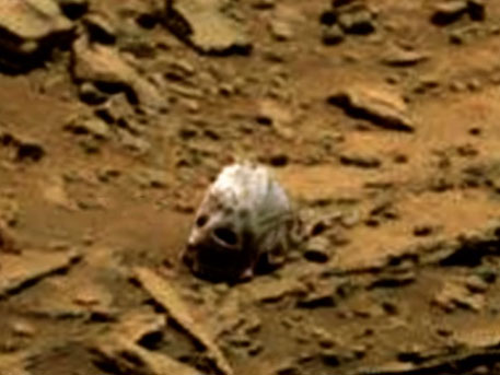 Уфологи отыскали на снимках с Марса схожий на череп объект