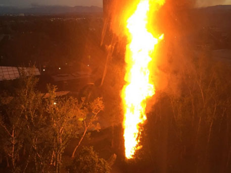 В Калифорнии сгорела рождественская елка за 0 тыс.