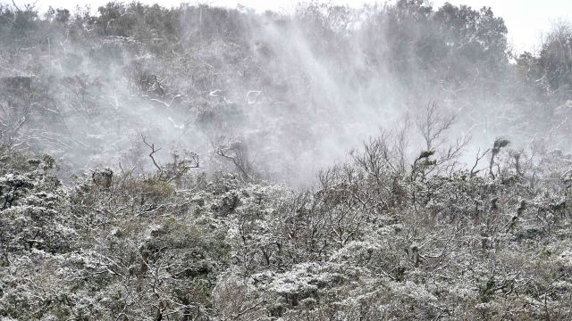 Количество жертв холодной погоды на Тайване достигло 85 человек