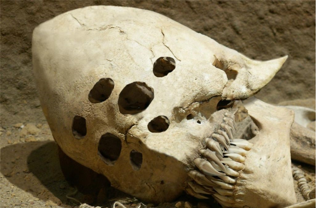 Археологи отыскали женский череп своеобразной вытянутой формы