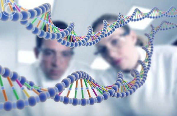 Ученые обнаружили «гены смерти», сокращающие жизнь на 4 года