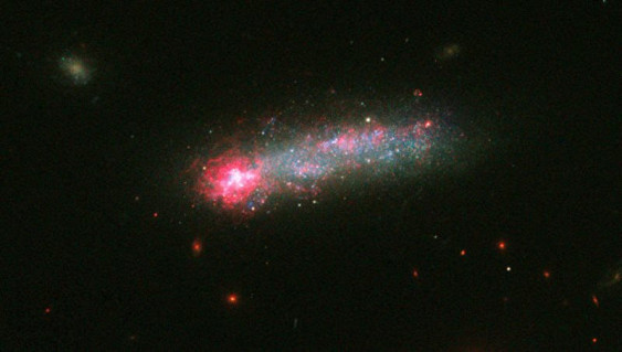 Hubble запечатлел редчайшую в ближайшем космосе галактику-головастика