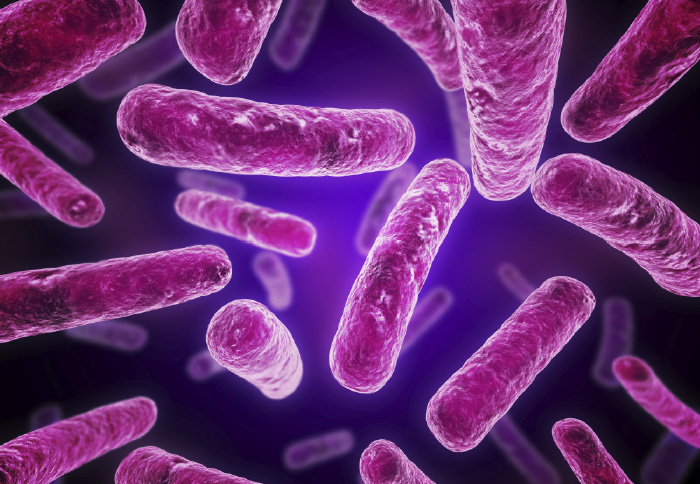 В кишечном тракте отыскали определяющие настроение человека бактерии