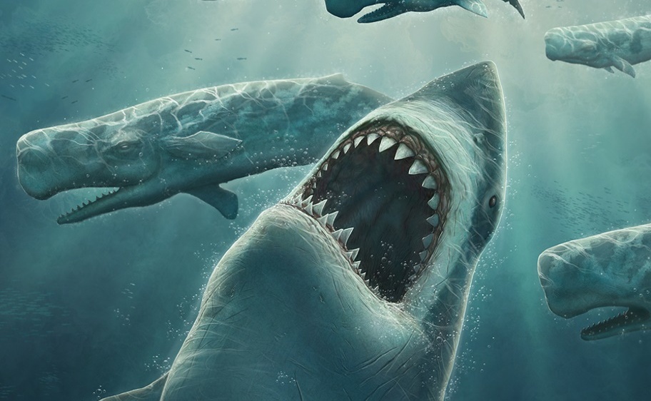 Ученые поведали, почему пропала наибольшая в мире акула