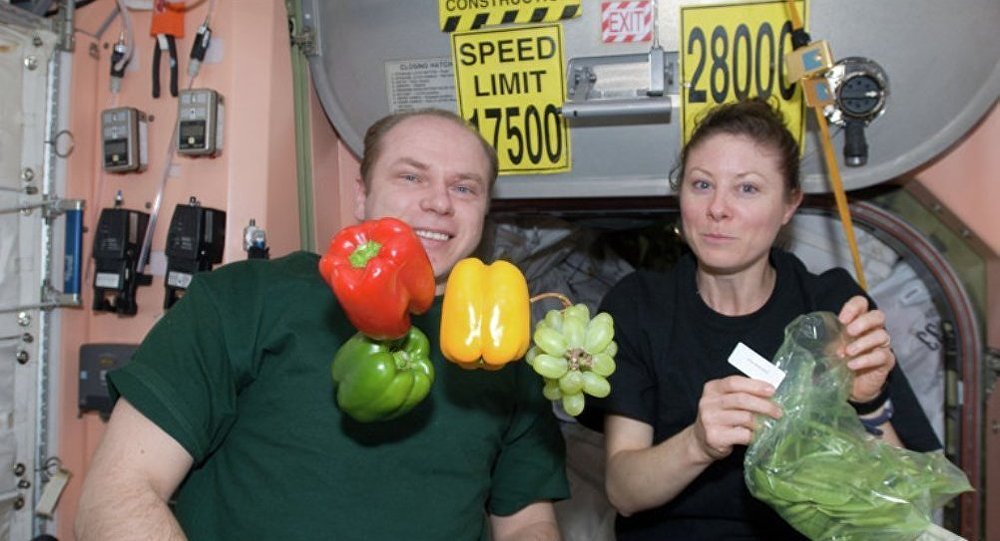 Экипаж МКС будет растить в космосе китайскую капусту