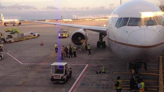 Самолёт «United Airlines» совершил экстренную посадку из-за угодившей в мотор птицы