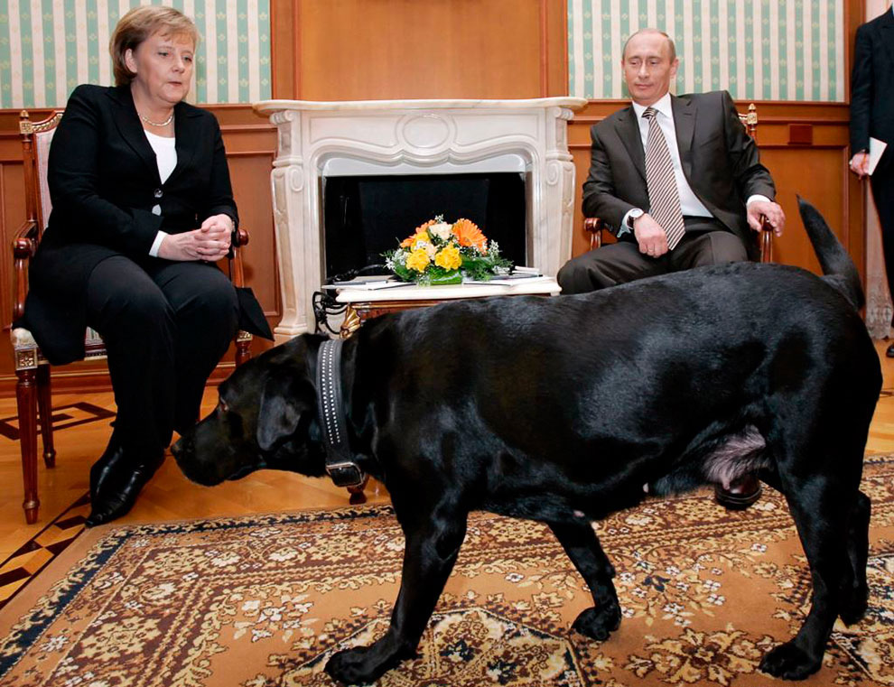Путин не знал, что Меркель безумно боится собак