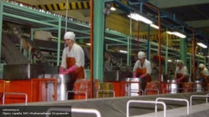 Прокуратура Бурятии проверила компании, трудоустраивающие граждан на «Рыбокомбинат Островной» на Шикотане