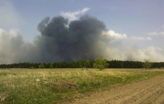 Сильный пожар в заповеднике «Болоньский» в Хабаровском крае потушен