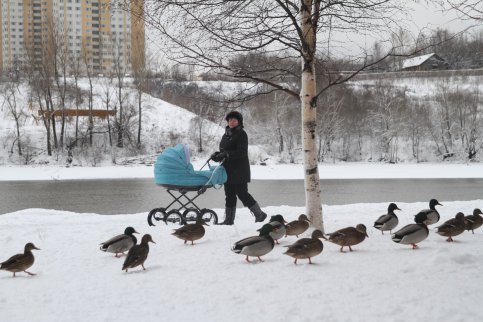 Морозная погода с осадками ожидается в столице России и Подмосковье
