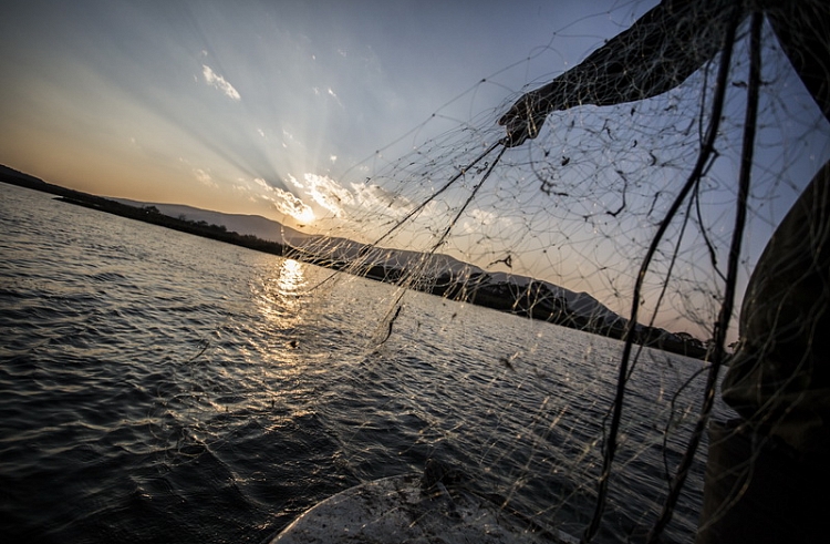Русские рыболовы побили прошлогодний рекорд по вылову рыбы в Азово-Черноморском бассейне