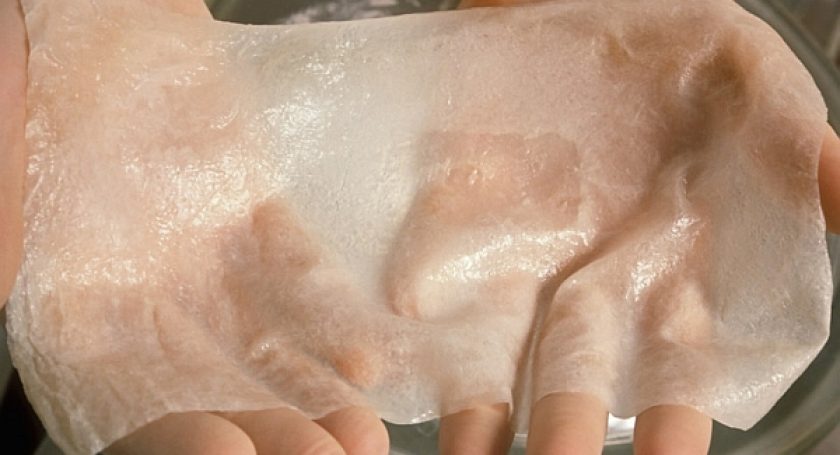 Белорусские ученые разработали способ выращивания кожи из клеток кожи пациента