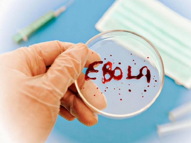 РФ зарегистрировала вакцину от небезопасной лихорадки Эбола