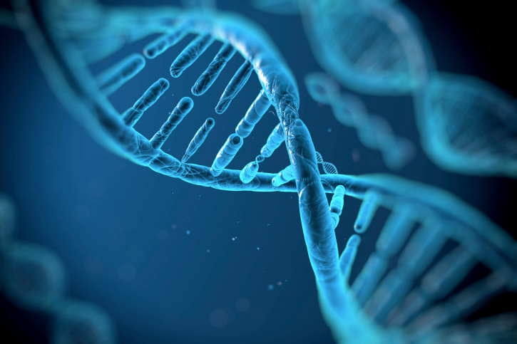 Ученые доказали, что уровень образования человека записан в его ДНК
