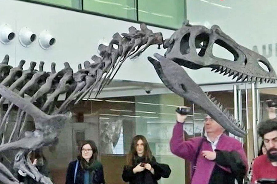 В Аргентине отыскали новый вид динозавра-«франкенштейна»