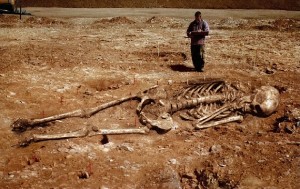 Ученые продемонстрировали итоги исследования отысканных останков женщины-гиганта