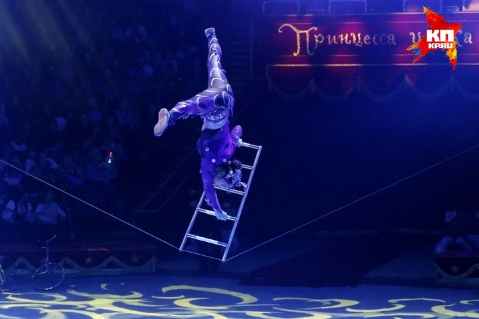 Андрей Малахов открыл фестиваль «Принцесса цирка»
