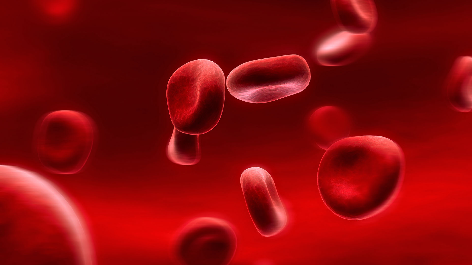 Ученые доказали возможность получения крови из клеток соединительной ткани