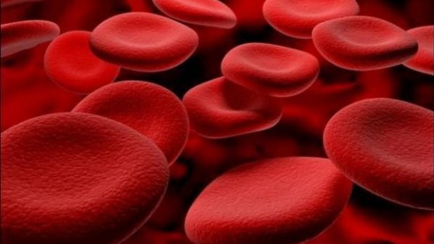 Нейросети обучили распознавать возраст человека через кровь