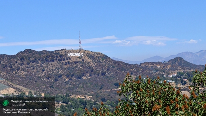 На холмах Лос-Анджелеса найден человеческий череп — Смерть в Голливуде