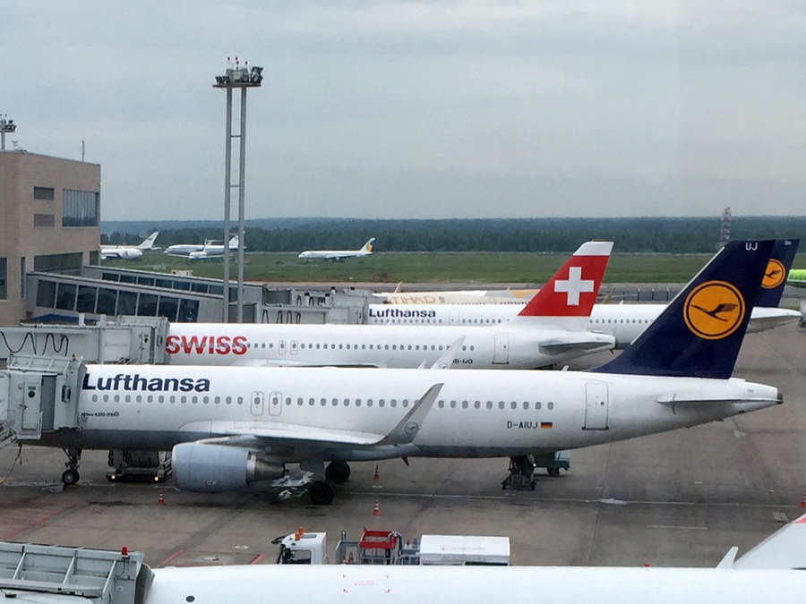СМИ проинформировали об аварийной посадке самолета Lufthansa в Домодедово