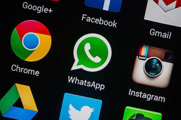 В новейшей версии WhatsApp возникла функция поиска GIF-изображений