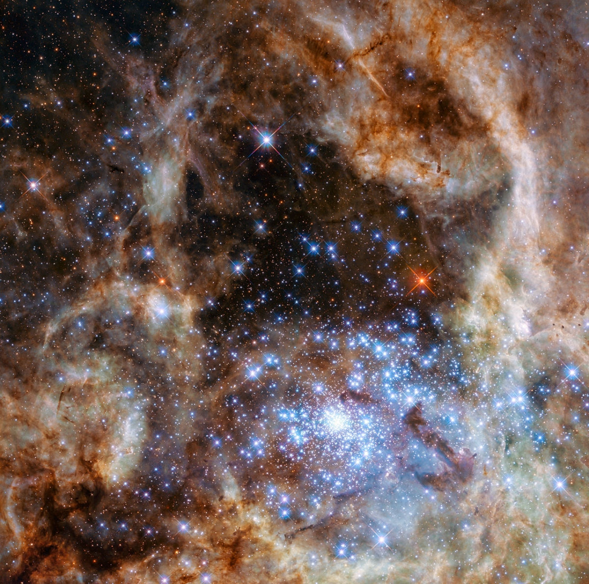 «Хаббл» нашел в космосе скопление новых звезд-монстров