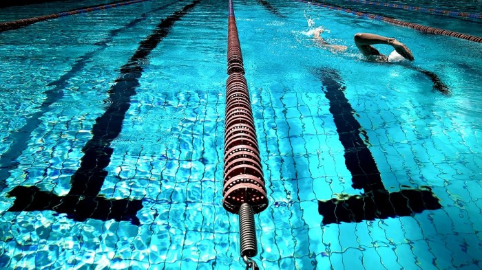Паралимпийская сборная Украины выиграла чемпионат Европы по плаванию