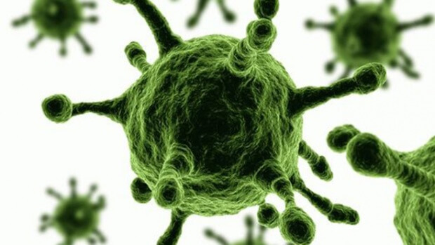Ученые обнаружили следы вируса Зика в слюне и моче