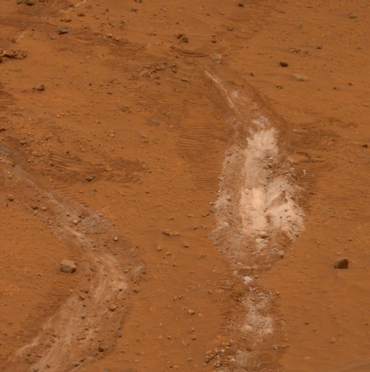 Ученые NASA могли прошляпить подтверждения существования жизни на Марсе