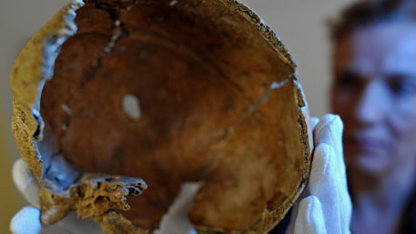 В «Поднебесной» археологи отыскали череп неизвестного вида человека