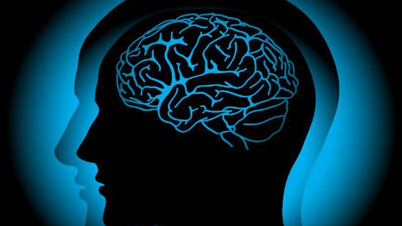 Ученые: Депрессия изменяет структуру мозга