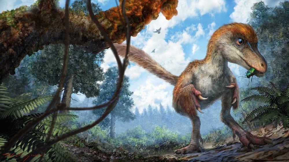 Ученые приняли решение пересмотреть классификацию динозавров