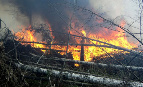 Сильных лесных пожаров в Самарской области стоит ожидать летом и сентябре
