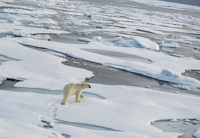 Северный Ледовитый океан поэтапно превратится в Атлантический — Ученые