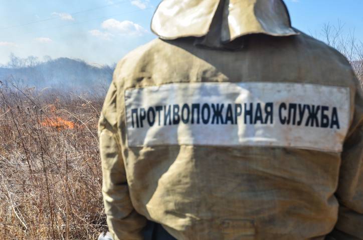 В Приморье за сутки устранили шесть лесных пожаров