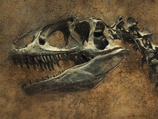 Ученые отыскали зуб динозавра и поменяли представления о прошлом планеты