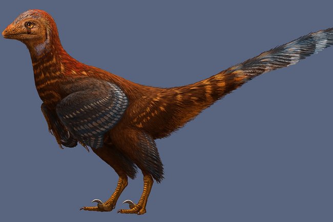 У динозавра отыскали нынешние перья